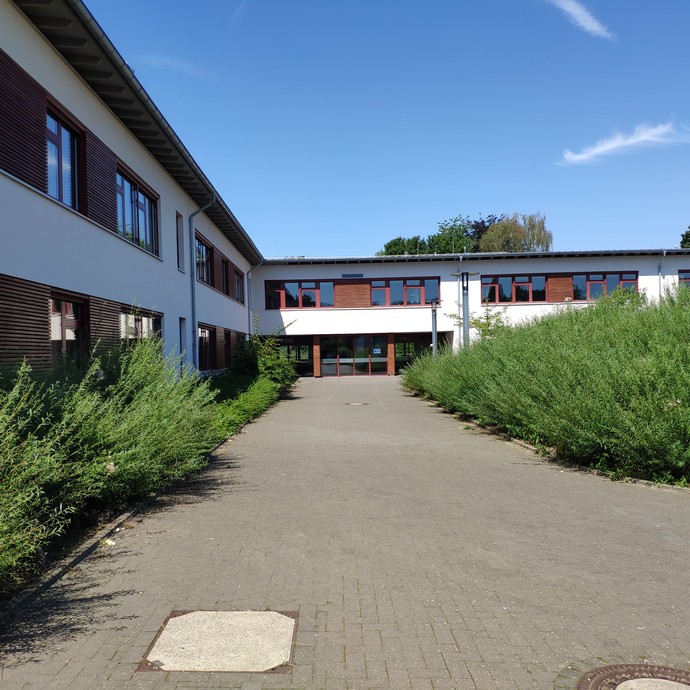 Der Weg zum Haupteingang des Schulgebäudes. Rechts und links stehen Büsche. (vergrößerte Bildansicht wird geöffnet)